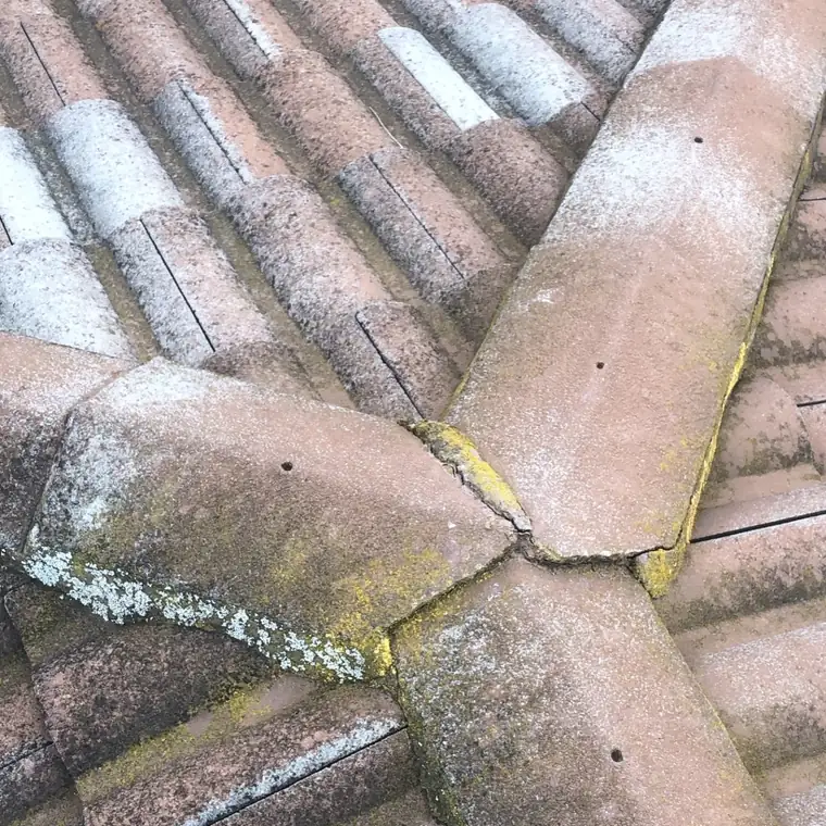 Cracked roof tiles that need repair
