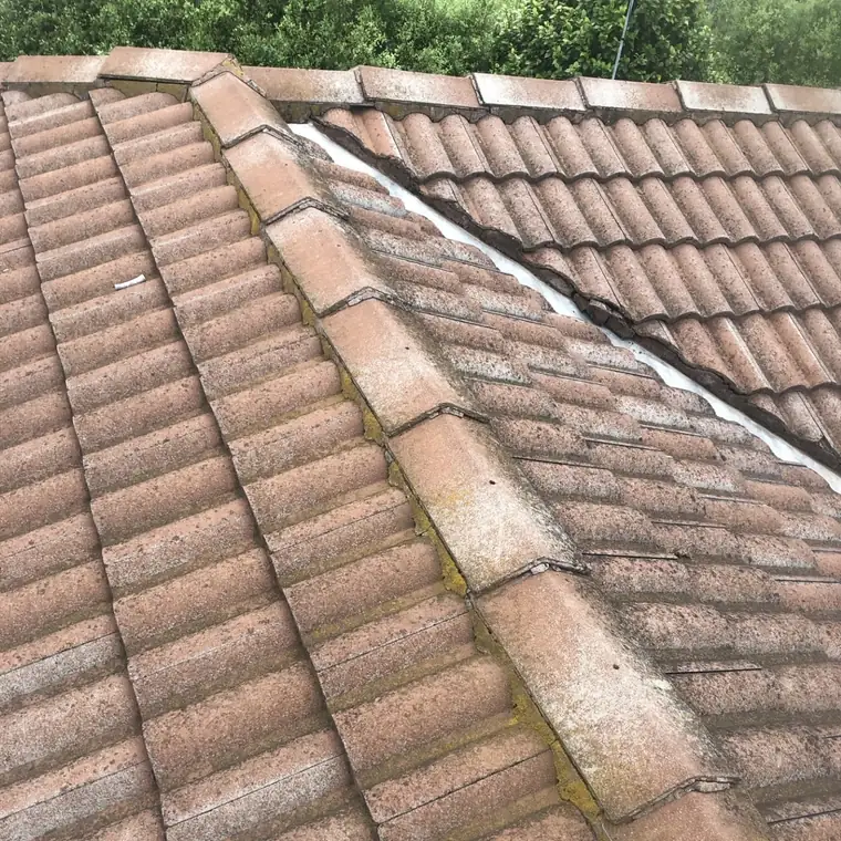 Cracked ridge capping mortar that needs repointing