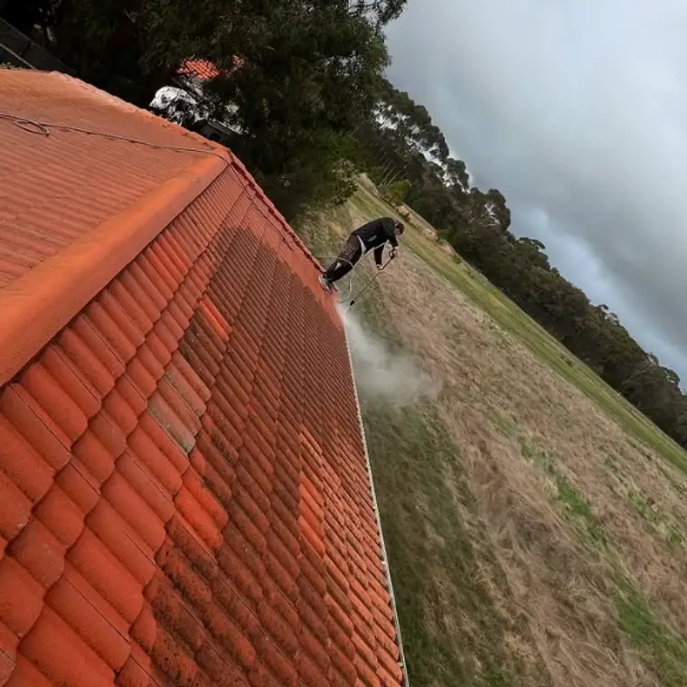 Half-cleaned tiled roof showing the difference on a Peninsula home